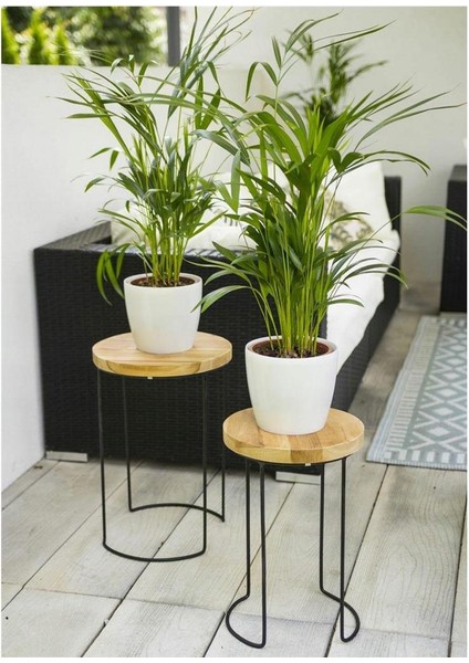 Sehpa Takımı Teak 2 Parçalı modelleri