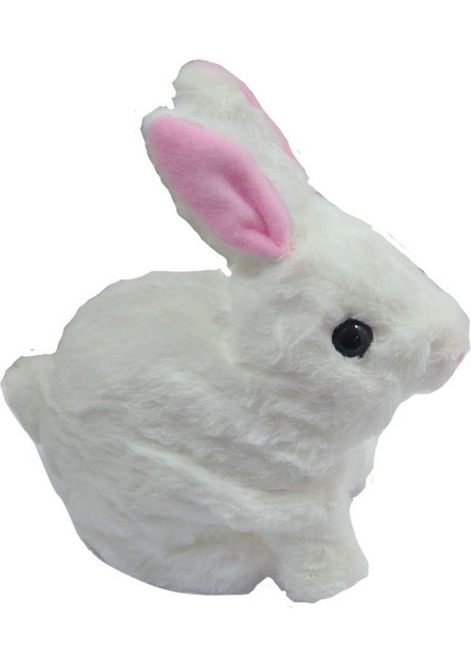 Özel 40098 Tavşan Peluş Pilli- Fırsat!!! fırsatları