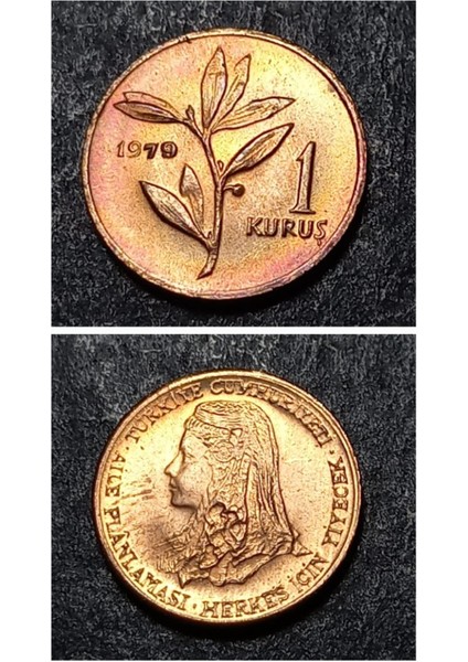 399636802A63F818F6 1979 Bakır 1kuruş - Fao Aile Planlamasi Çil Eski Madeni Para