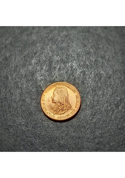 399636802A63F818F6 1979 Bakır 1kuruş - Fao Aile Planlamasi Çil Eski Madeni Para fırsatları