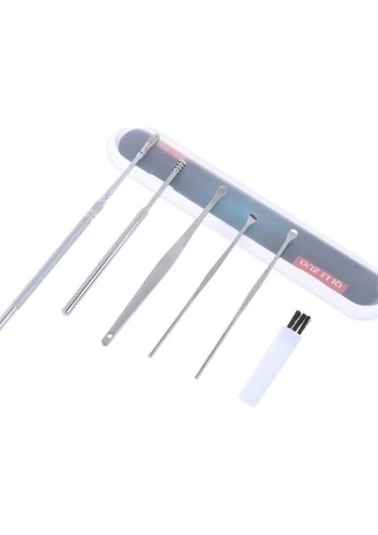 6 Parça Paslanmaz Çelik Kulak Balmumu Toplayıcı Çıkarıcı Temizleyici Bakımı Çubuk Seti