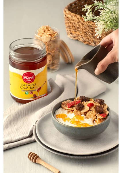 Fethiye Faralya Çam Balı (850 Gr) fiyatları