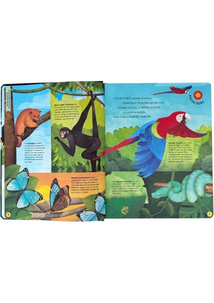 Sounds of the Wild indirimleri