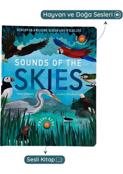 Sounds Of The Skıes