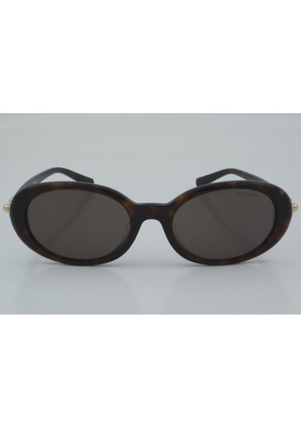 Tiffany & Co. TF 4242-D 8015/3G 54 - 01 Güneş Gözlüğü