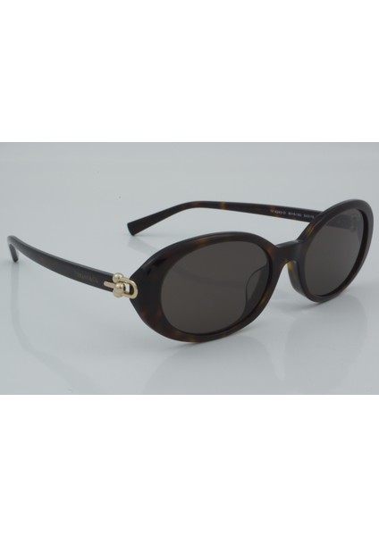 Tiffany & Co. TF 4242-D 8015/3G 54 - 01 Güneş Gözlüğü modelleri