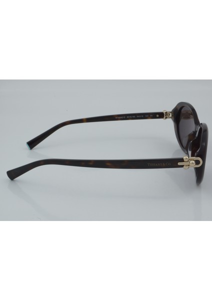 Tiffany & Co. TF 4242-D 8015/3G 54 - 01 Güneş Gözlüğü fırsatları