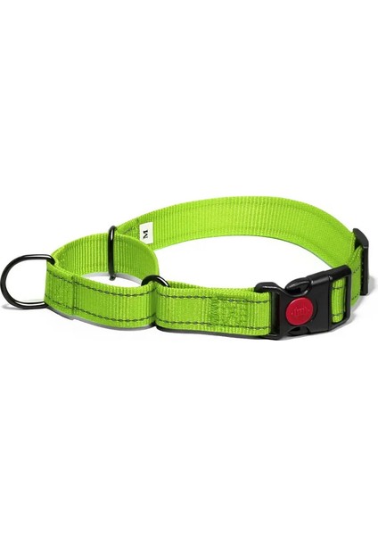 Ayarlanabilir Evcil Köpek Yakaları Naylon Golden Retriever Boyun Tasma Aksesuarları Üzerinde Güvenlik Kilidi Dış Mekan 2 Arada 1 P Zincir Pet Malzemeleri Renk: Açık Yeşil/boyut: Xs (Yurt Dışından)
