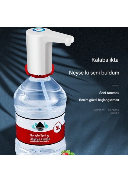 Şişelenmiş Su Pompaları (Yurt Dışından) modelleri