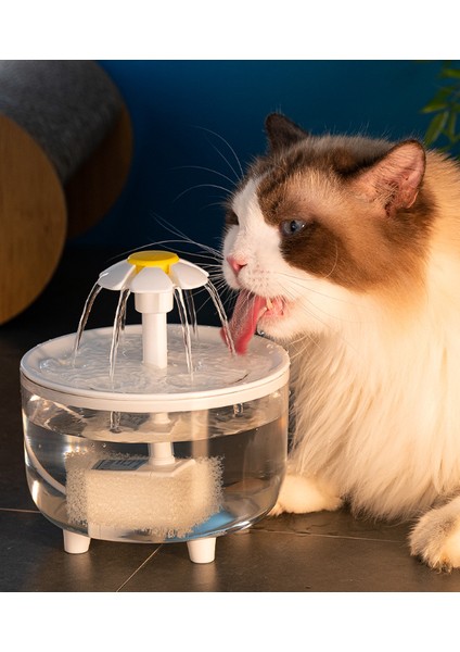 Kedi Döngüsü Su Pınarı Otomatik Filtre Evcil Hayvan Malzemeleri (Yurt Dışından) fırsatları