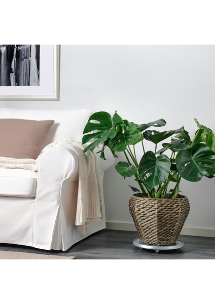 Druvfläder Rattan Saksı 24 cm Su Sümbülü Plastik Iç Kaplama Suya Dayanıklı Saksı modelleri