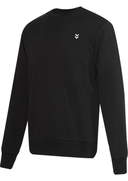 T-Pulse Male Co Regular Crew Neck Sweatshırt