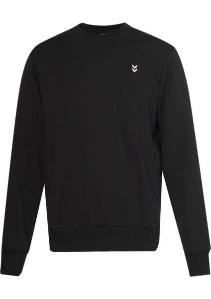 T-Pulse Male Co Regular Crew Neck Sweatshırt modelleri