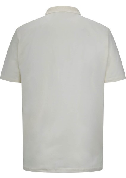 Sarı Regular Fit 100% Pamuk Polo Yaka Merserize Tişört fiyatları