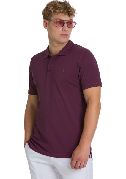 Mor Regular Fit 100% Pamuklu Polo Yaka Tişört modelleri