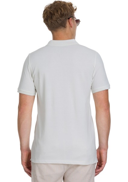 Taş Regular Fit 100% Pamuklu Polo Yaka Tişört indirimleri