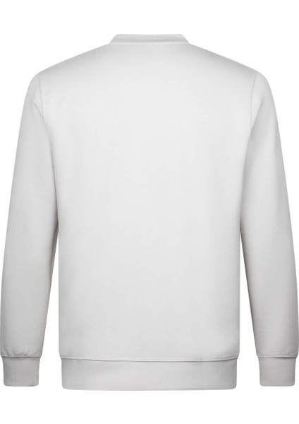 Gri Regular Fit Bisiklet Yaka Sweatshirt fiyatları