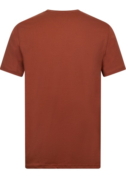 Kahverengi Regular Fit Bisiklet Yaka Pamuklu Basic Tişört fiyatları