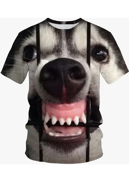 Yaz Tops Street Tees Komik Köpek Yüz 3D Baskı T-Shirt Serin Hayvan Grafik Ekibi Boyun Kısa Kollu Gündelik Moda Erkek Tişört Renk: ETA6F24241B7/BOYUT (Yurt Dışından)