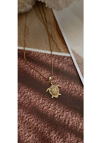 Çelik Kaplumbağa Kolye fiyatları