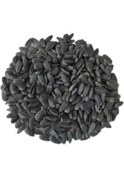 Siyah Kabuklu Ay Çekirdeği Güvercin Horoz Kanatlı Yemi 1 kg