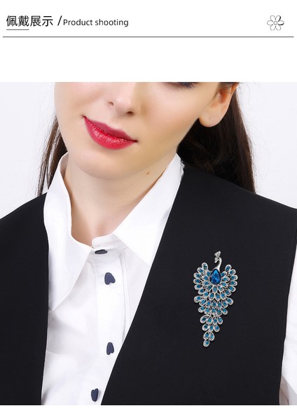 Kadınlar Için Üst Düzey Tavus Kuşu Broş, Üst Düzey Hafif Lüks Niş Retro Anka Kuşu Korsage Pimi Giyim Aksesuarları (Yurt Dışından) modelleri