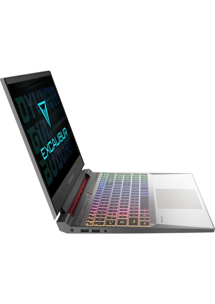 Excalibur G870 i7-13620H 64GB 4TB 8GB RTX5060 165Hz 15.6" Freedos Taşınabilir Bilgisayar G870.1362-EN60X-C fırsatları