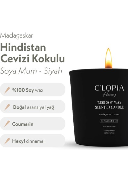 Madagaskar Hindistan Cevizi Kokulu Soya Mum - Siyah fiyatları