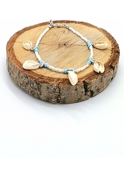 Deniz Kabuğu Lüks Hal Hal