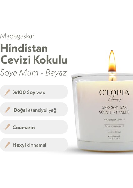 Madagaskar Hindistan Cevizi Kokulu Soya Mum - Beyaz fiyatları