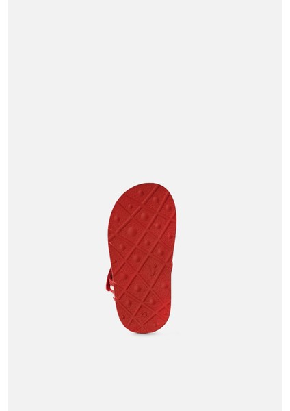 Dory Sandalet Unisex Çocuk Sandalet fiyatları
