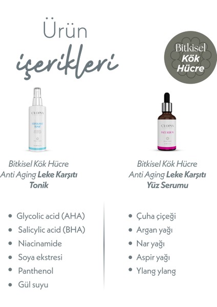 Bitkisel Kök Hücre Leke Karşıtı Anti-Aging Tonik Serum Set Glikolik Asit Salisilik Asit Niacinamide fiyatları