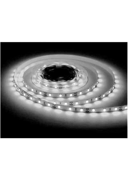 AS01-02803 Şerit LED 6500K 12V 240 Ledli (Beyazışık) fiyatları