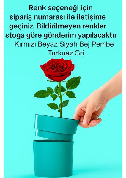 Gizli Bölmeli Saksı/para Altın Saklama Kasası fırsatları