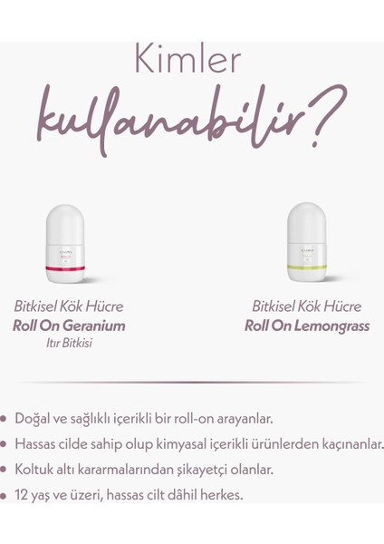 Bitkisel Kök Hücre Roll-On Set Limon Otu Itır fırsatları