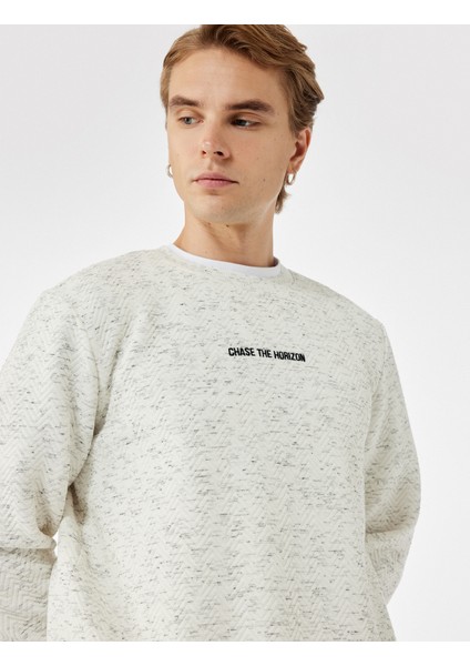 Uzun Kollu Nakışlı Bisiklet Yaka Sweatshirt fiyatları