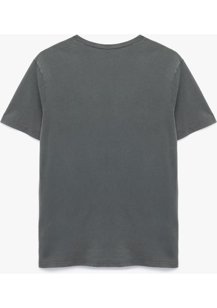 Pamuklu Kısa Kollu Bisiklet Yaka Basic Tişört fiyatları