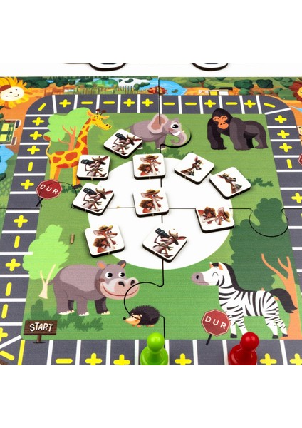 Kanguru Matematik Safari Otobüs Oyunu - Toplama & Çıkarma Işlemi | 2-4 Oyuncu | Müfredata Uyumlu / 5-6 Yaş indirimleri