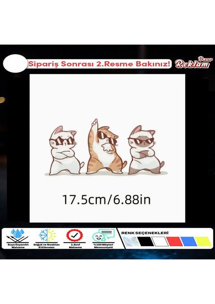 Cool Kedi Takımı Araba Stickerı – 3’lü Komik ve Havalı Kediler, Su Geçirmez Vinil 18X7 cm