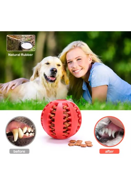 Kedi Köpek Isırma Topu, Mama Hazneli Oyuncak Top, Diş Kaşıma Topu, Pet Diş Temizleme Oyuncağı fiyatları