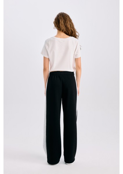 Regular Fit Kalın Eşofman Altı Beli Lastikli Basic Düz Geniş Bol Paça E4900AX24CW indirimleri