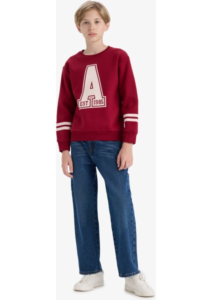 Erkek Çocuk Bisiklet Yaka Baskılı Sweatshirt D4342A824WN fiyatları