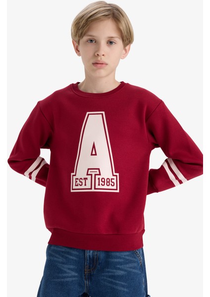 Erkek Çocuk Bisiklet Yaka Baskılı Sweatshirt D4342A824WN modelleri