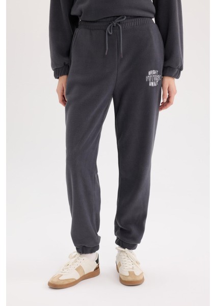 Standart Fit Polar Eşofman Altı Beli Bağcıklı Lastikli Paça Cepli Baskılı Uzun Boy Y2650AZ24WN fırsatları