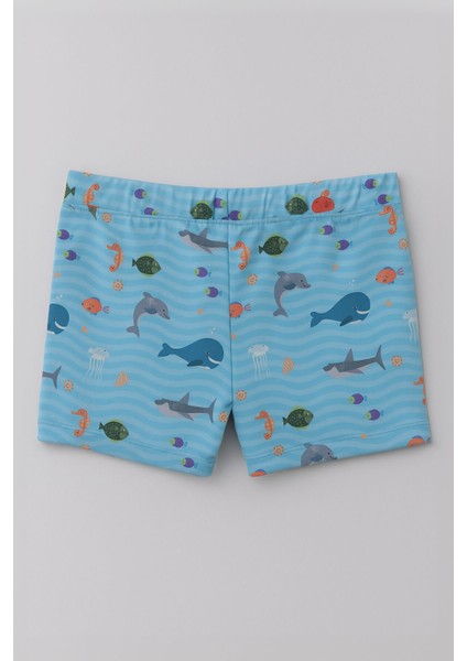 Erkek Çocuk Beli Lastikli Açık Mavi Deniz Şortu fiyatları