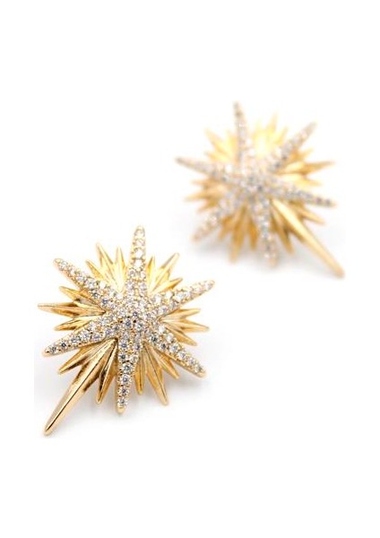 Kuzey Yıldızı Küpe - Rose fiyatları