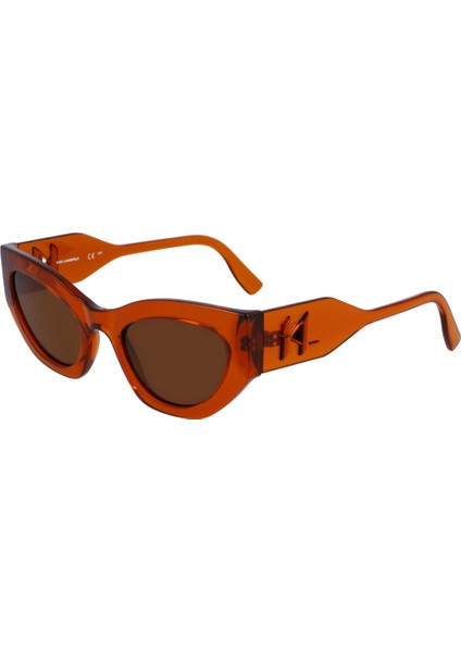 6122S 540 Güneş Gözlüğügüneş Gözlüğü