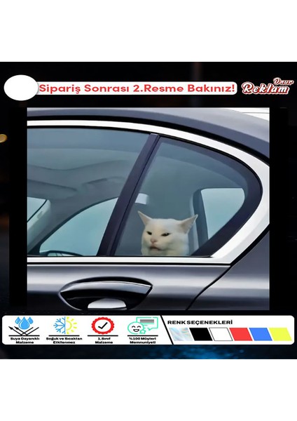 Camdan Bakan Sinirli Kedi Stickerı – Mizahi Araba Cam Etiketi (20X20CM)