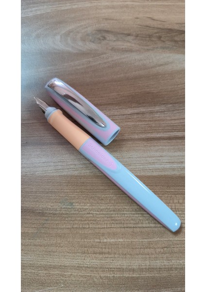 Schneıder Dolma Kalem Ray M Flora 168211