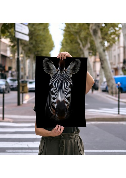 Çerçevesiz Poster - Dijital Baskı - Zebra